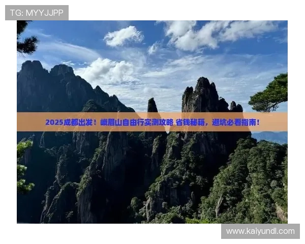 怎么抓波胆高赔率避坑指南品牌入口下载评测